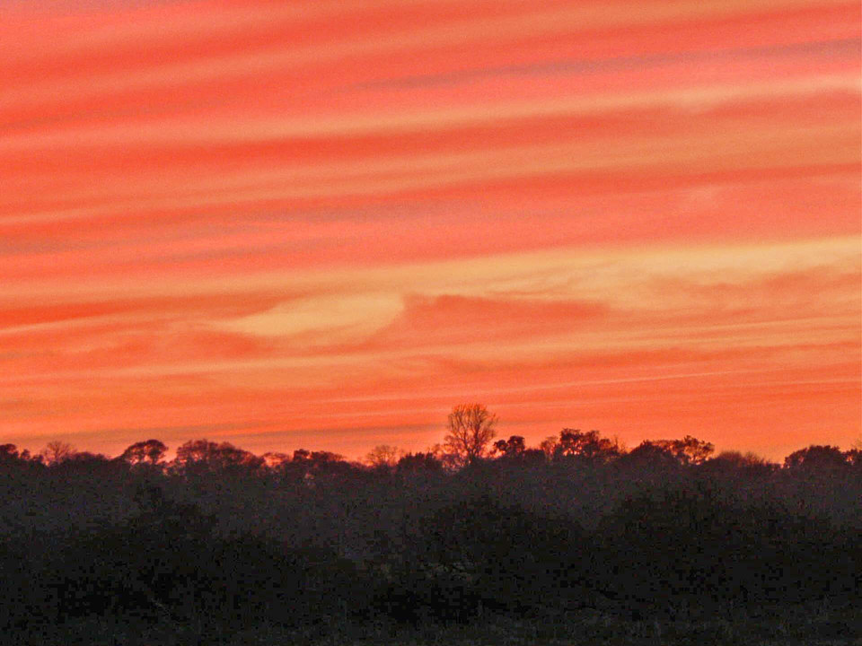 select left of pic for previous, right for next, top for index