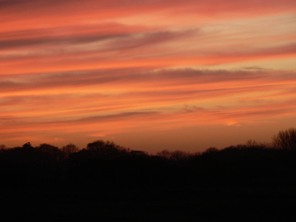 select left of pic for previous, right for next, top for index