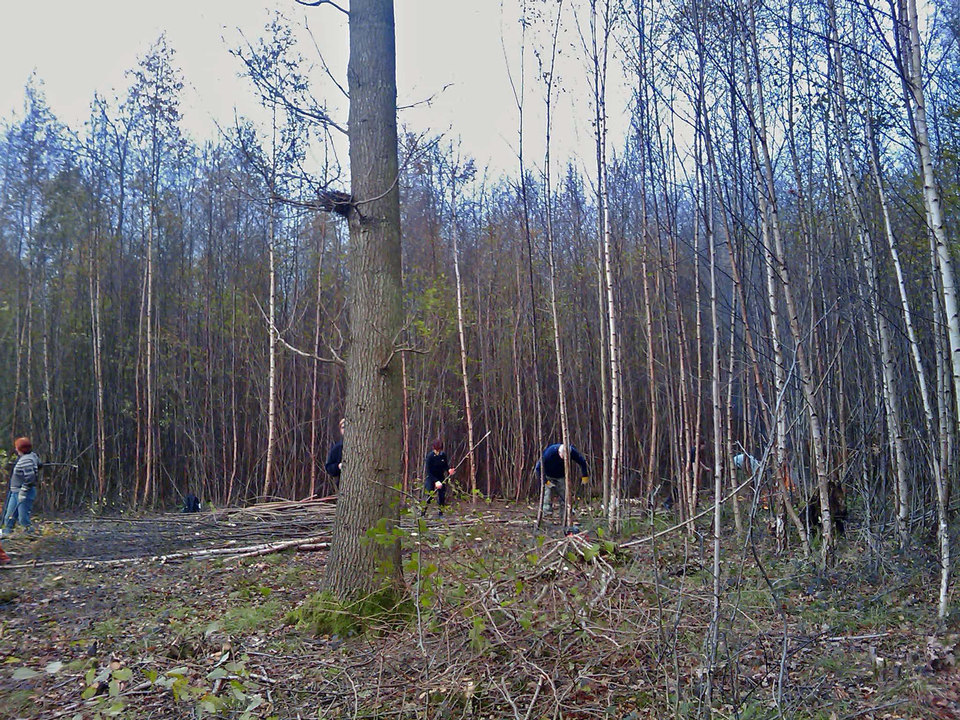 select left of pic for previous, right for next, top for index