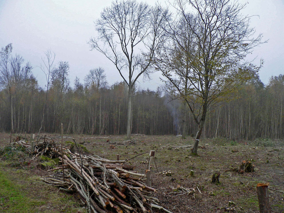 select left of pic for previous, right for next, top for index