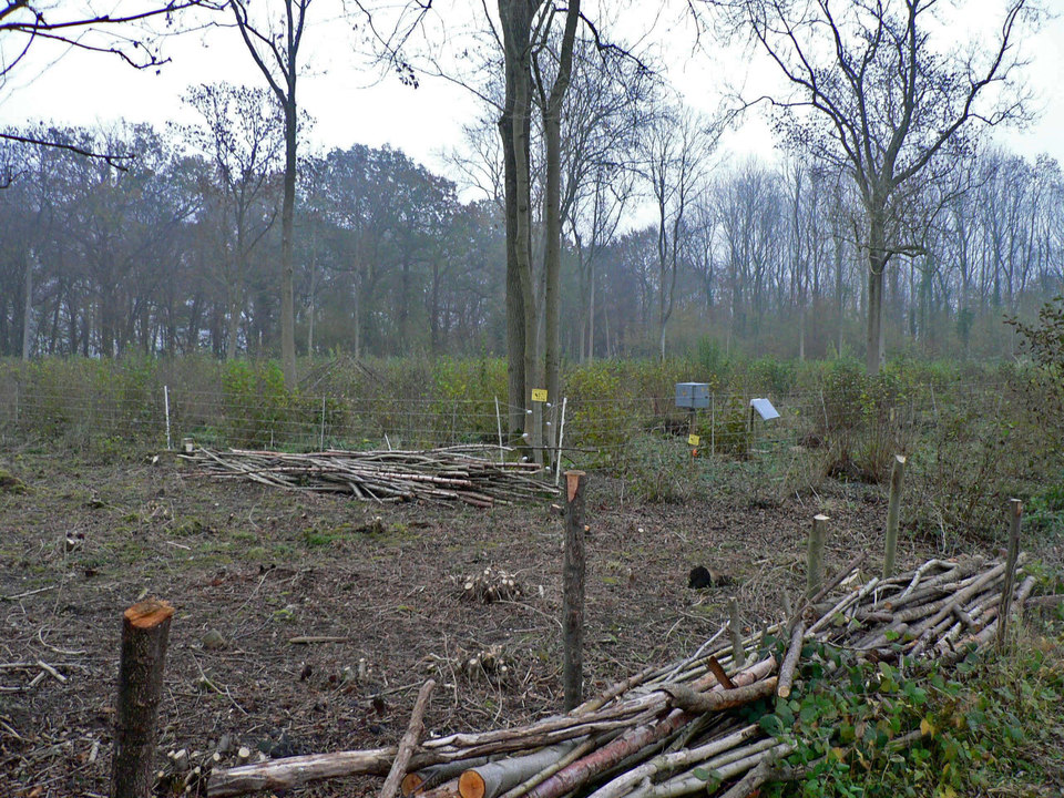 select left of pic for previous, right for next, top for index