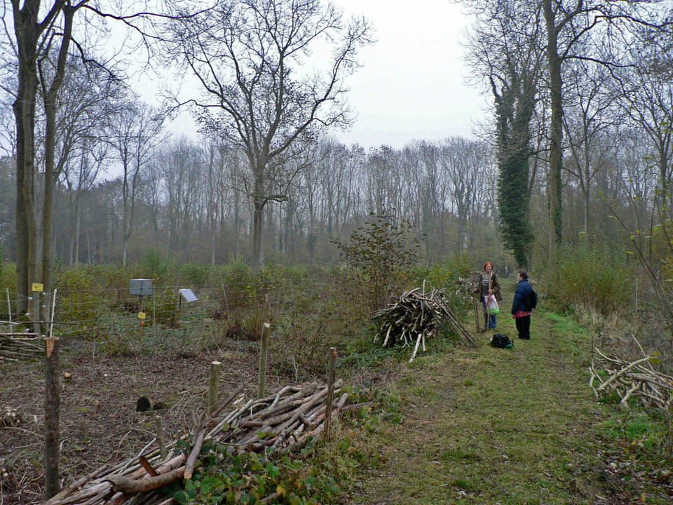 select left of pic for previous, right for next, top for index