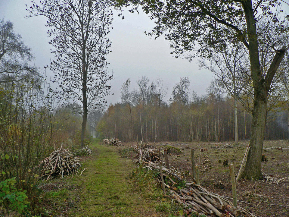 select left of pic for previous, right for next, top for index