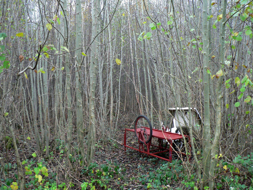 select left of pic for previous, right for next, top for index