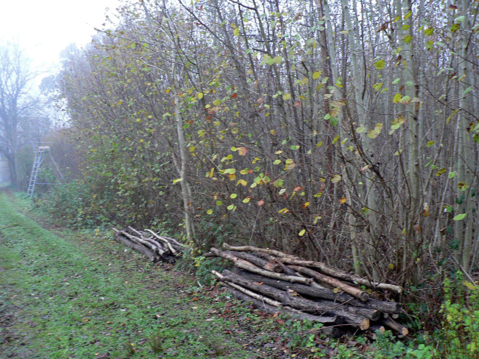 select left of pic for previous, right for next, top for index