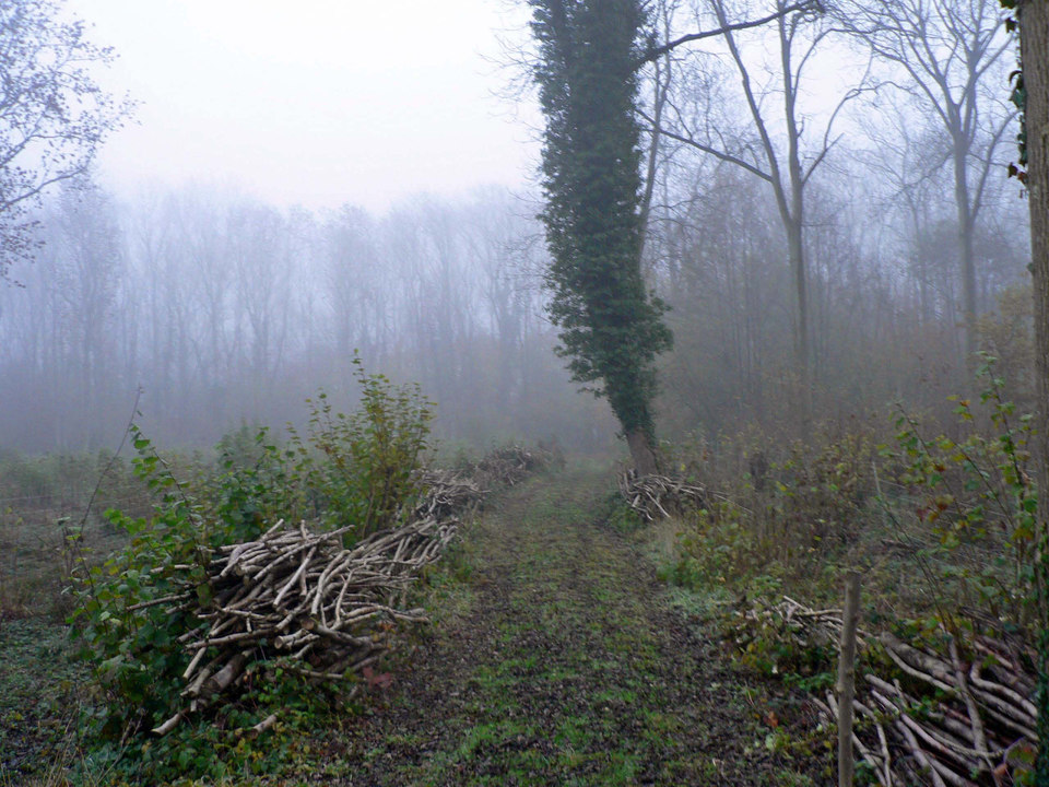 select left of pic for previous, right for next, top for index