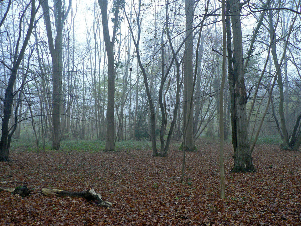 select left of pic for previous, right for next, top for index