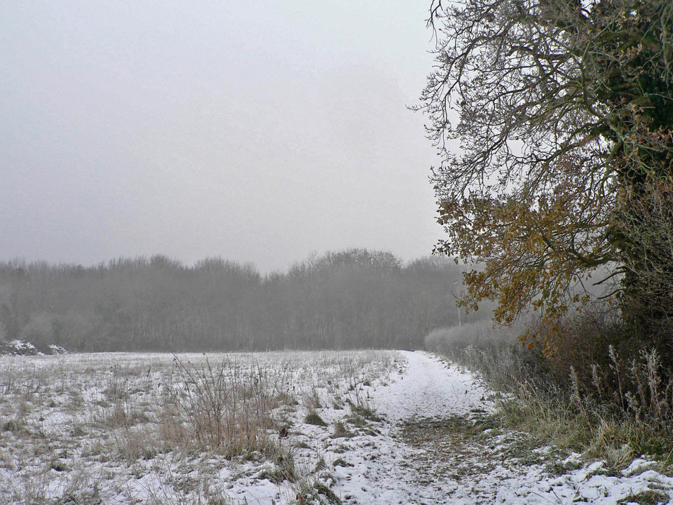 select left of pic for previous, right for next, top for index