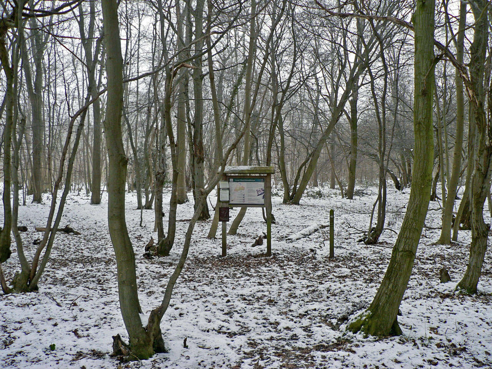 select left of pic for previous, right for next, top for index