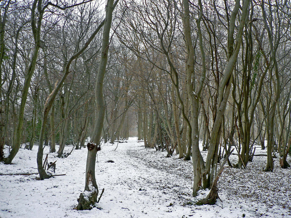 select left of pic for previous, right for next, top for index