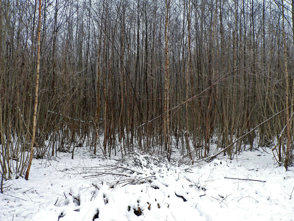 select left of pic for previous, right for next, top for index