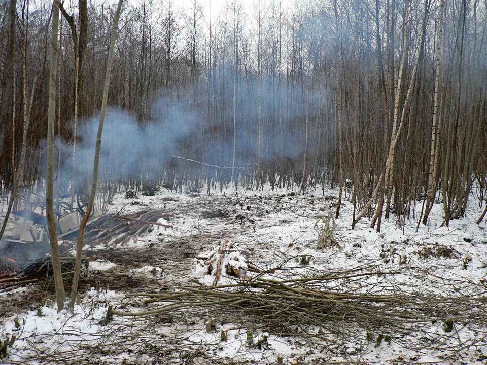 select left of pic for previous, right for next, top for index