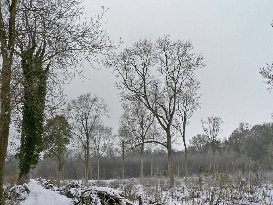 select left of pic for previous, right for next, top for index