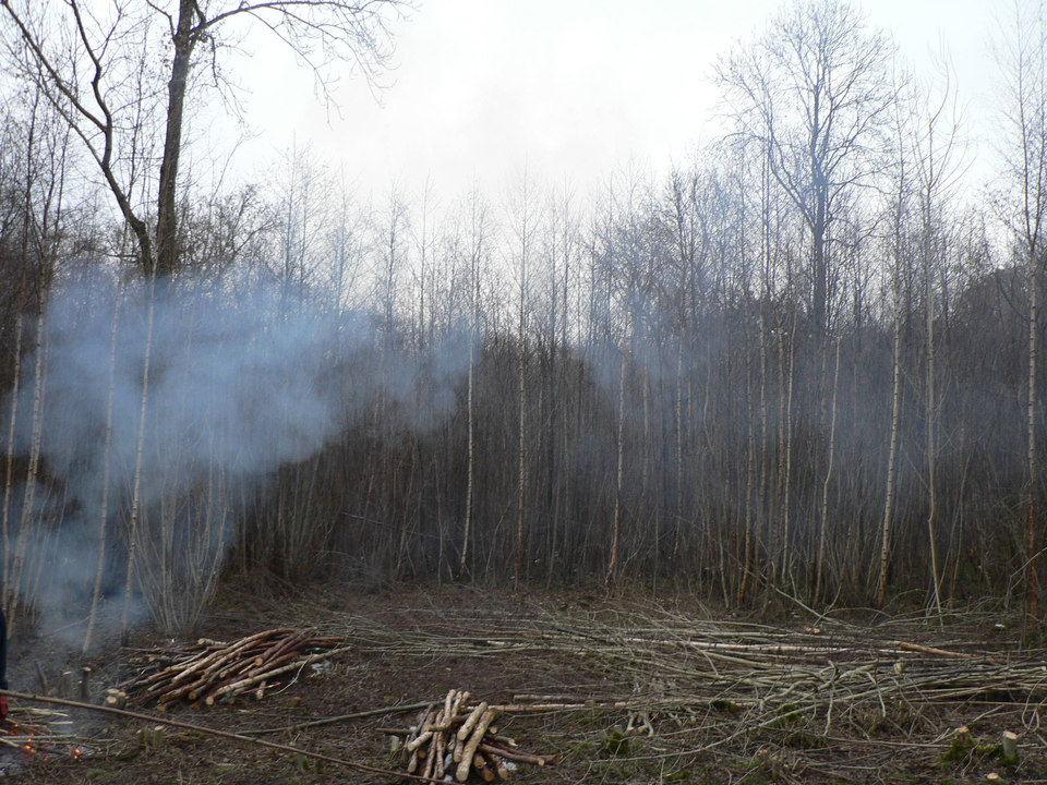 select left of pic for previous, right for next, top for index