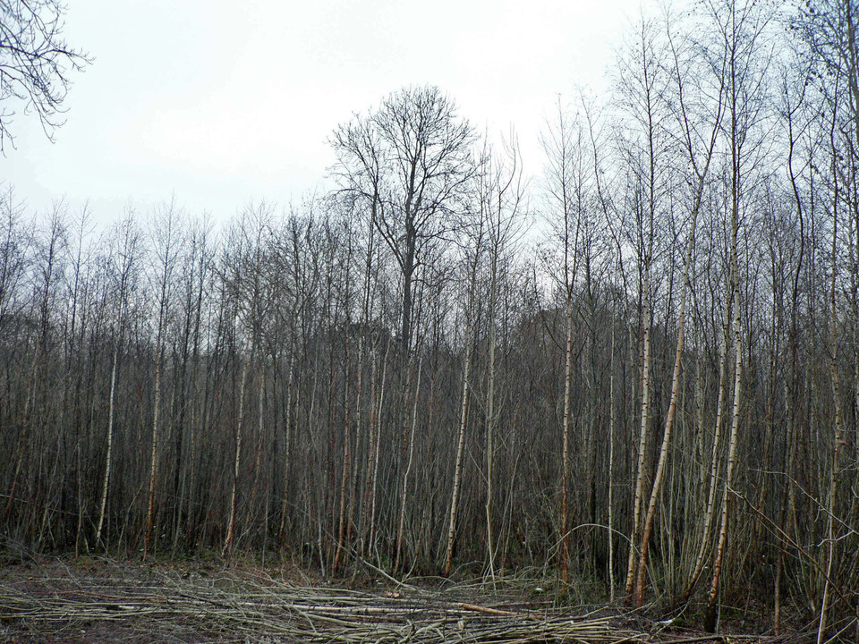 select left of pic for previous, right for next, top for index