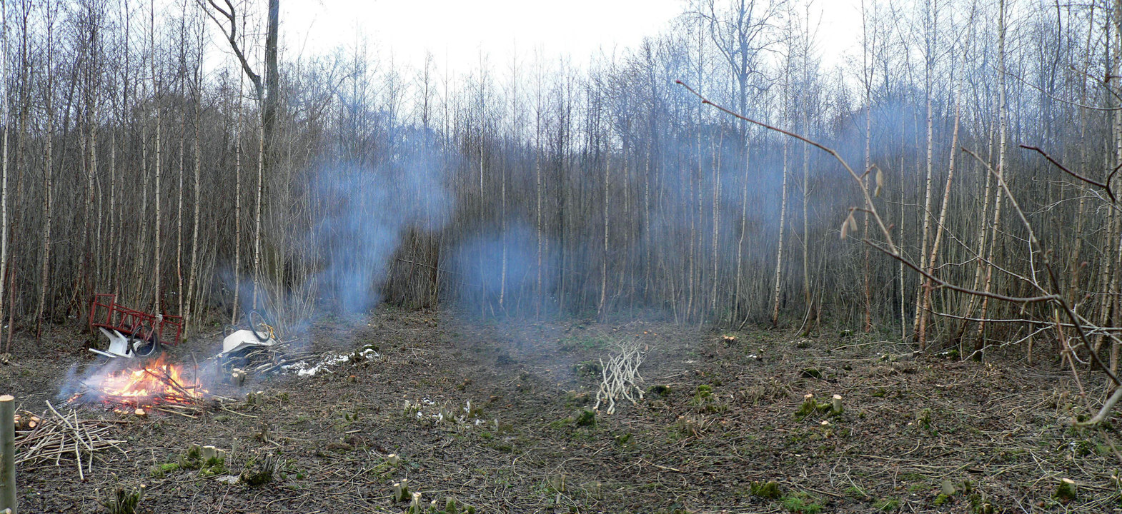 select left of pic for previous, right for next, top for index