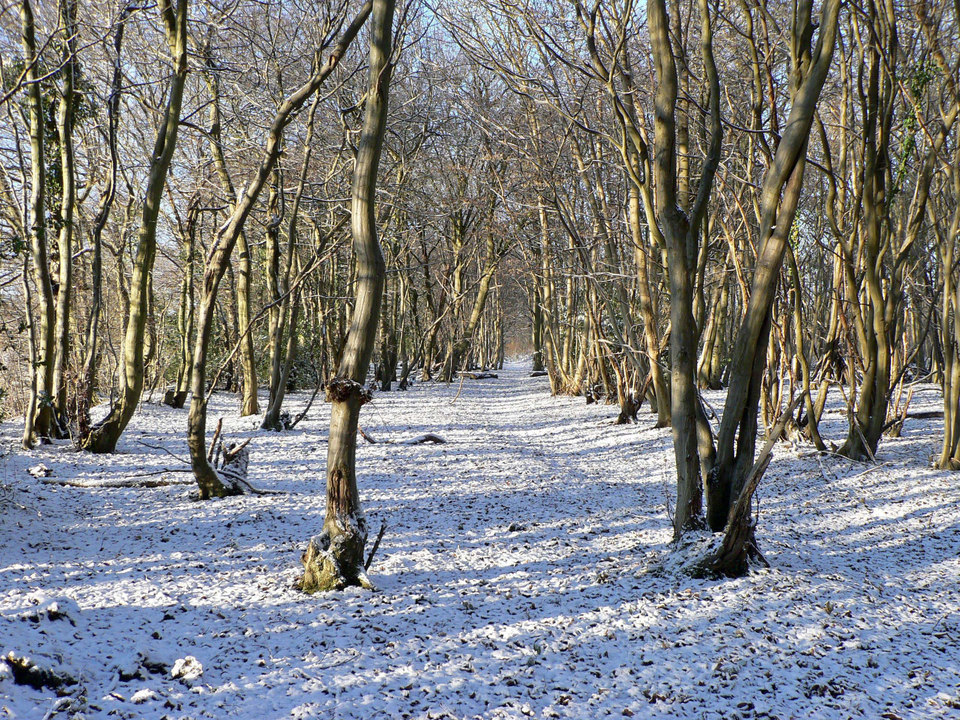 select left of pic for previous, right for next, top for index