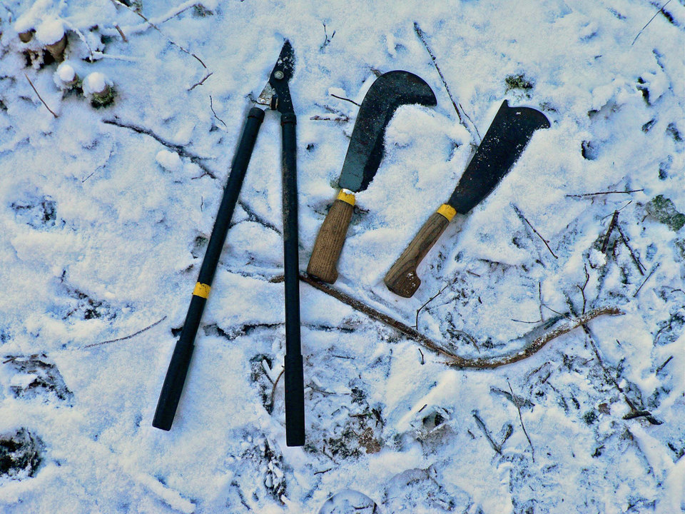 select left of pic for previous, right for next, top for index