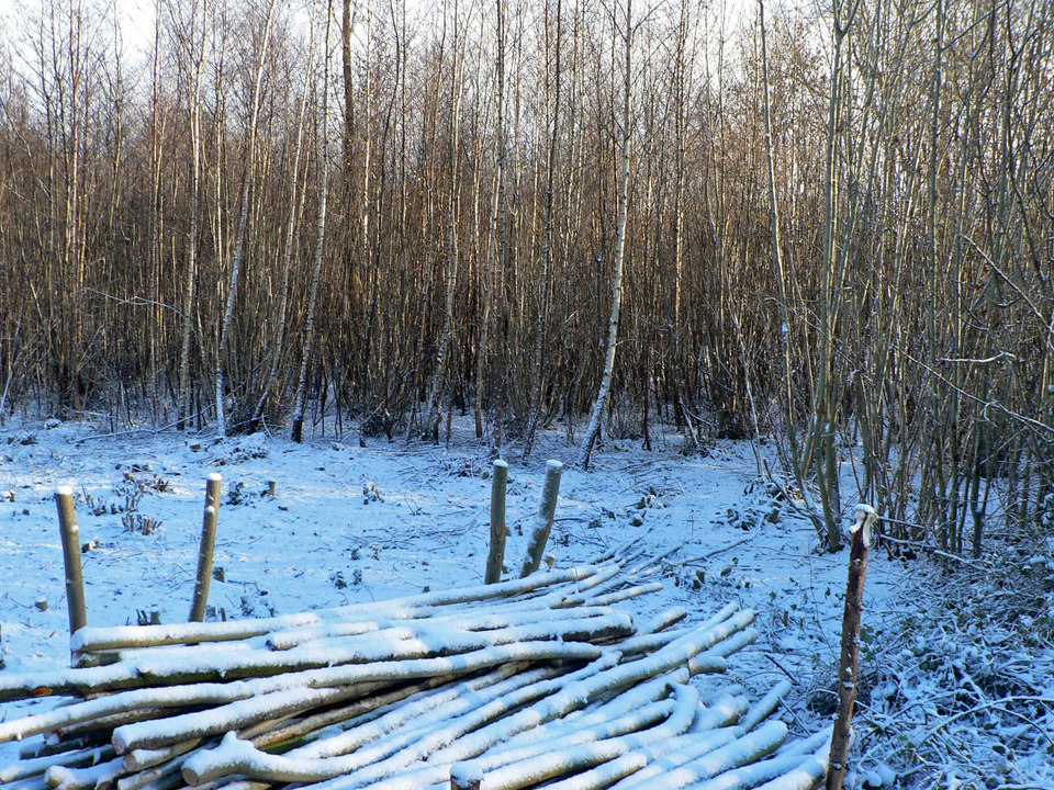 select left of pic for previous, right for next, top for index