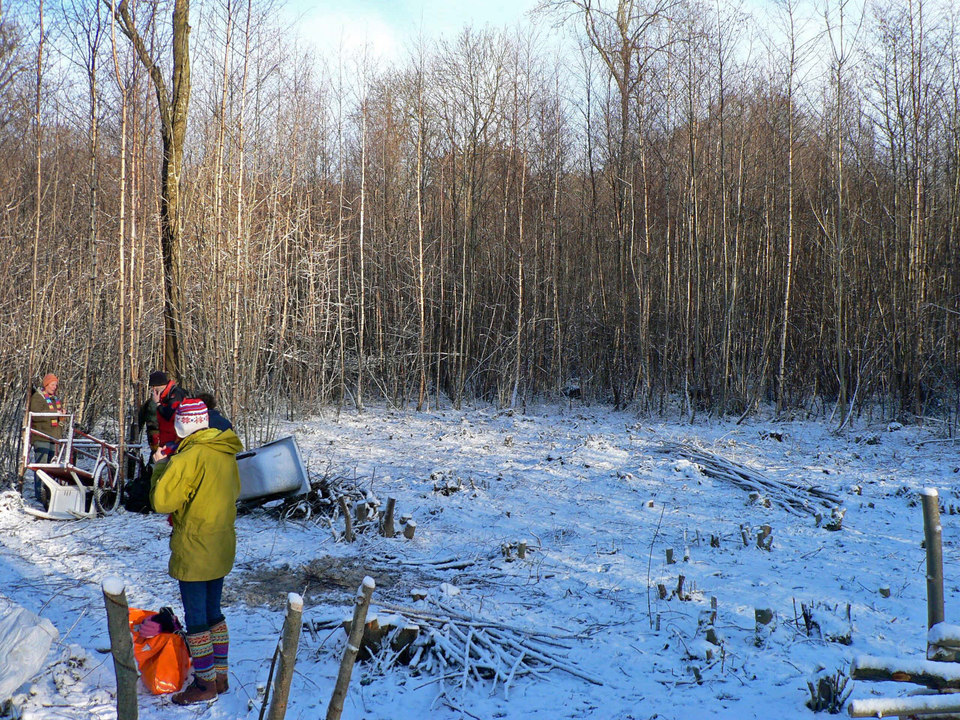 select left of pic for previous, right for next, top for index