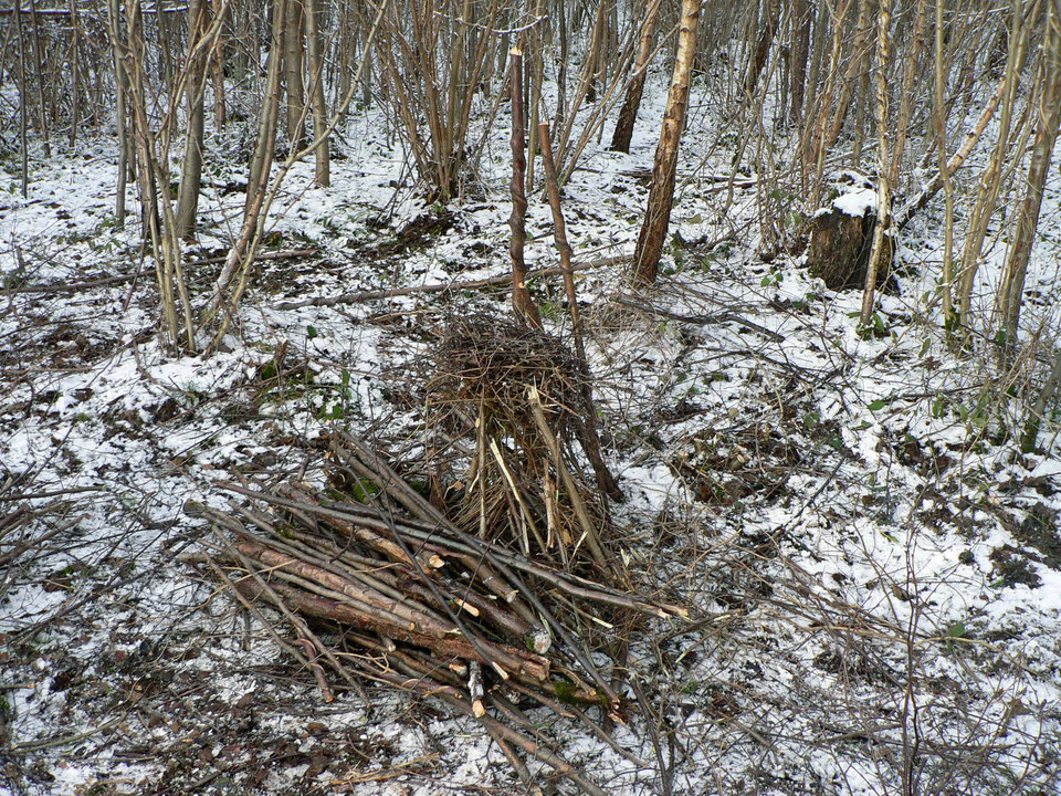 select left of pic for previous, right for next, top for index