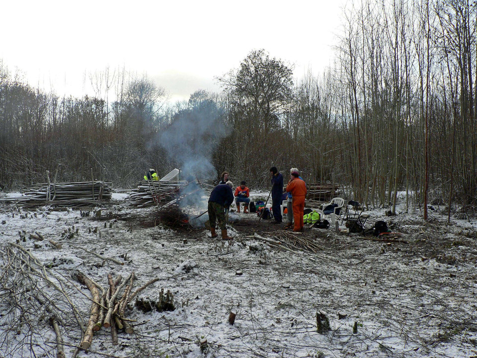 select left of pic for previous, right for next, top for index