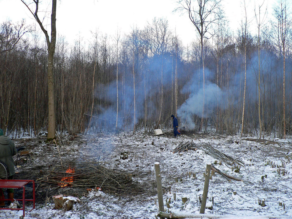 select left of pic for previous, right for next, top for index