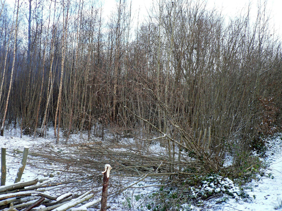 select left of pic for previous, right for next, top for index