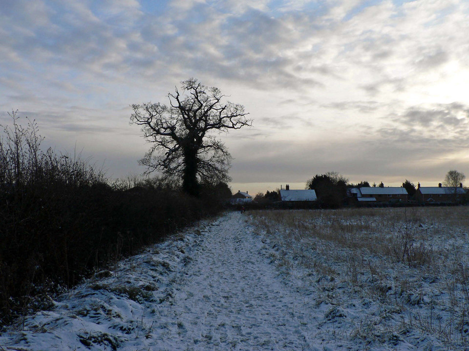 select left of pic for previous, right for next, top for index