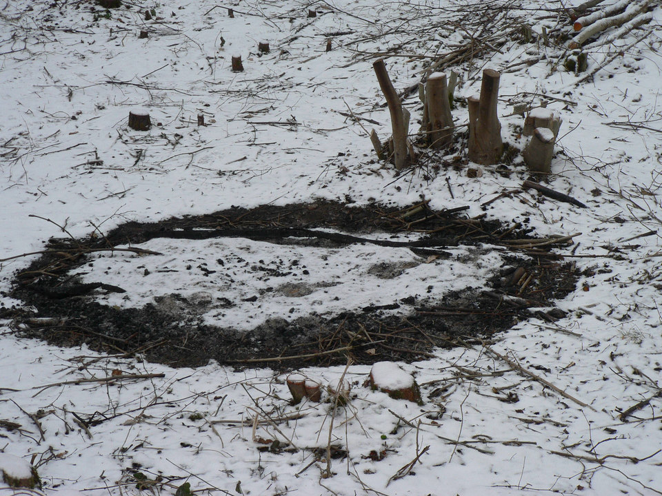 select left of pic for previous, right for next, top for index