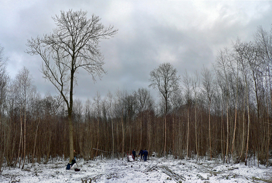 select left of pic for previous, right for next, top for index