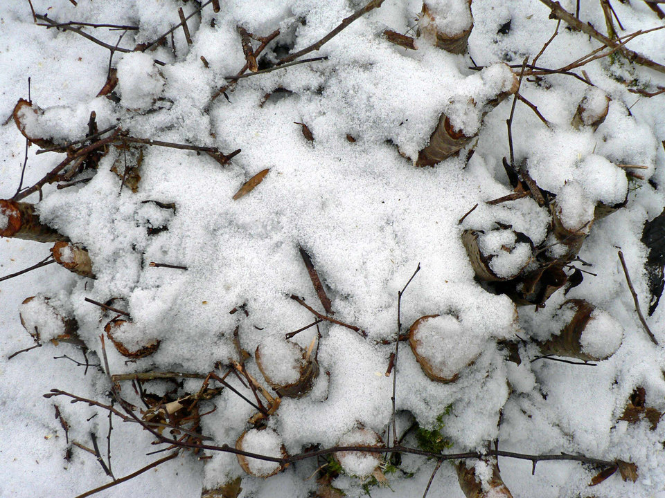 select left of pic for previous, right for next, top for index