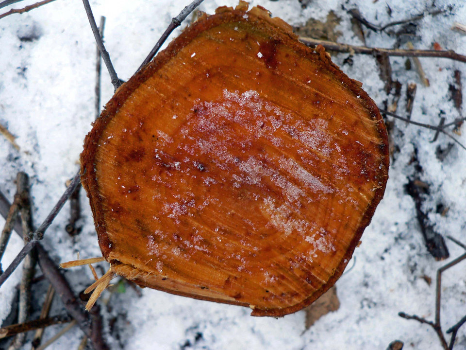 select left of pic for previous, right for next, top for index