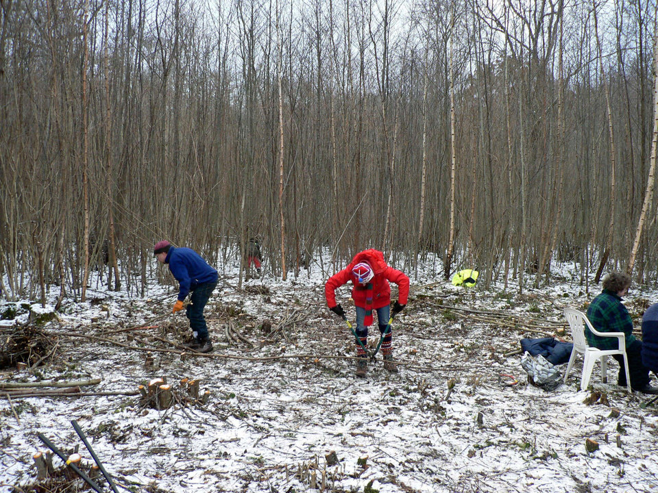 select left of pic for previous, right for next, top for index