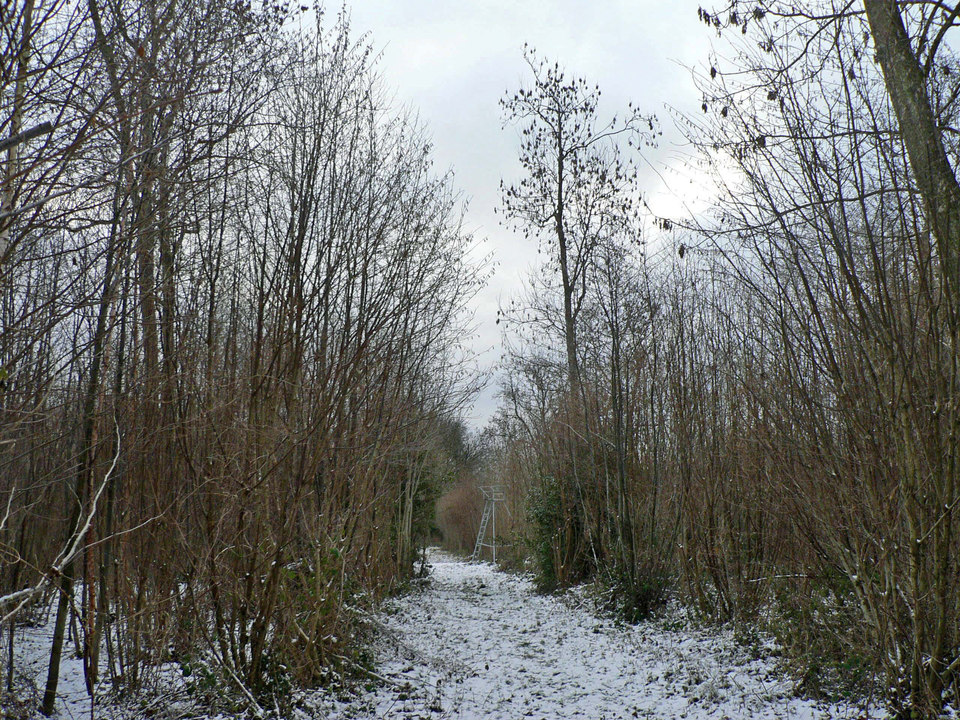 select left of pic for previous, right for next, top for index