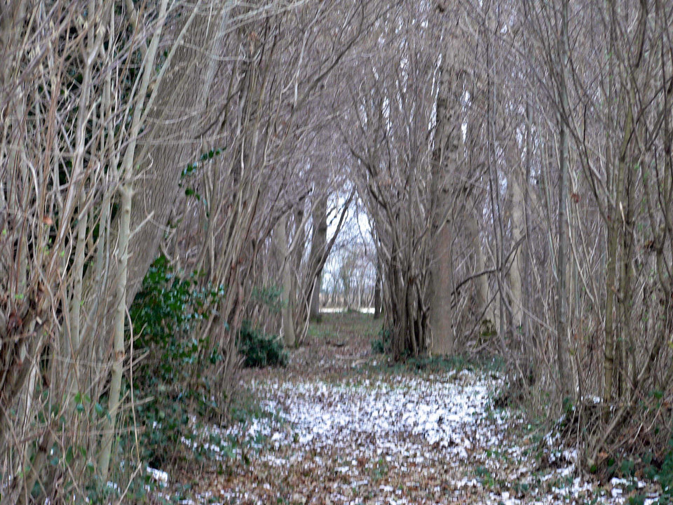 select left of pic for previous, right for next, top for index