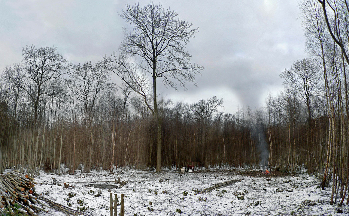 select left of pic for previous, right for next, top for index