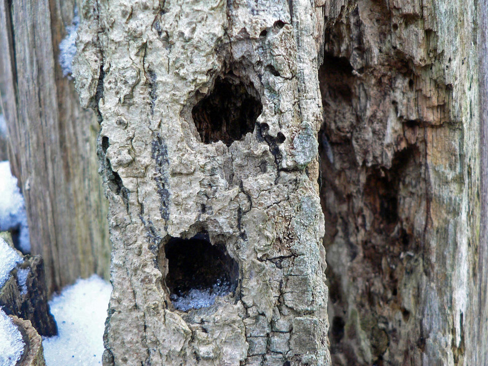 select left of pic for previous, right for next, top for index