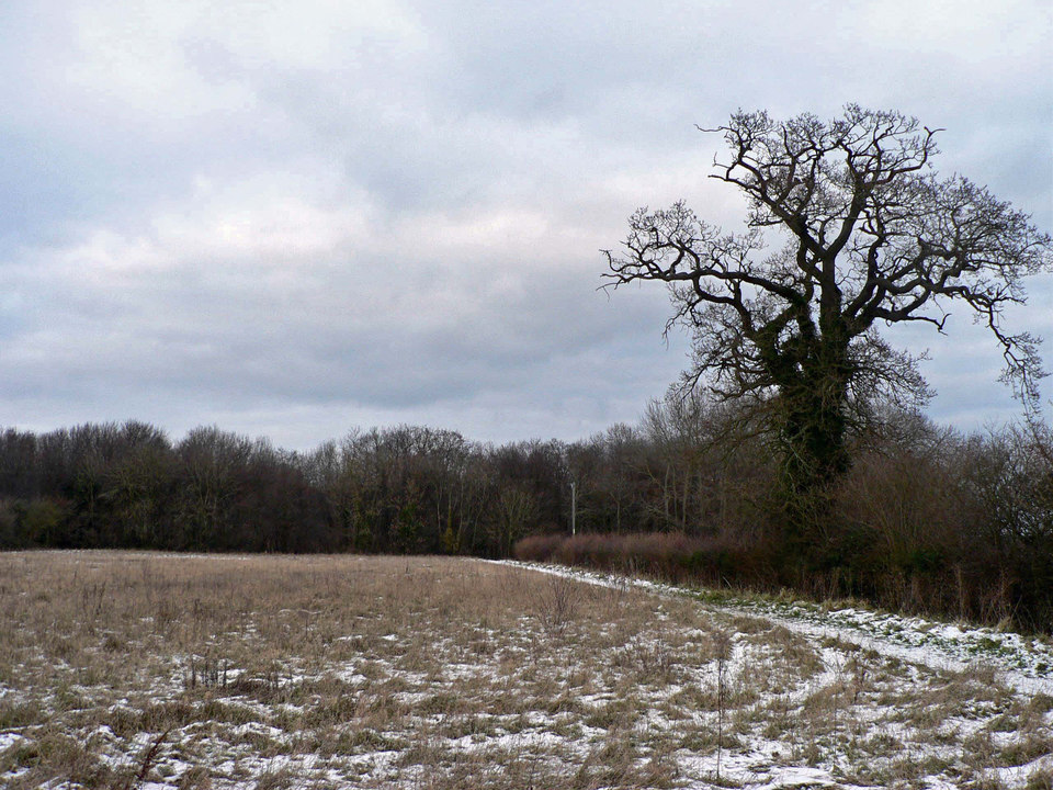 select left of pic for previous, right for next, top for index