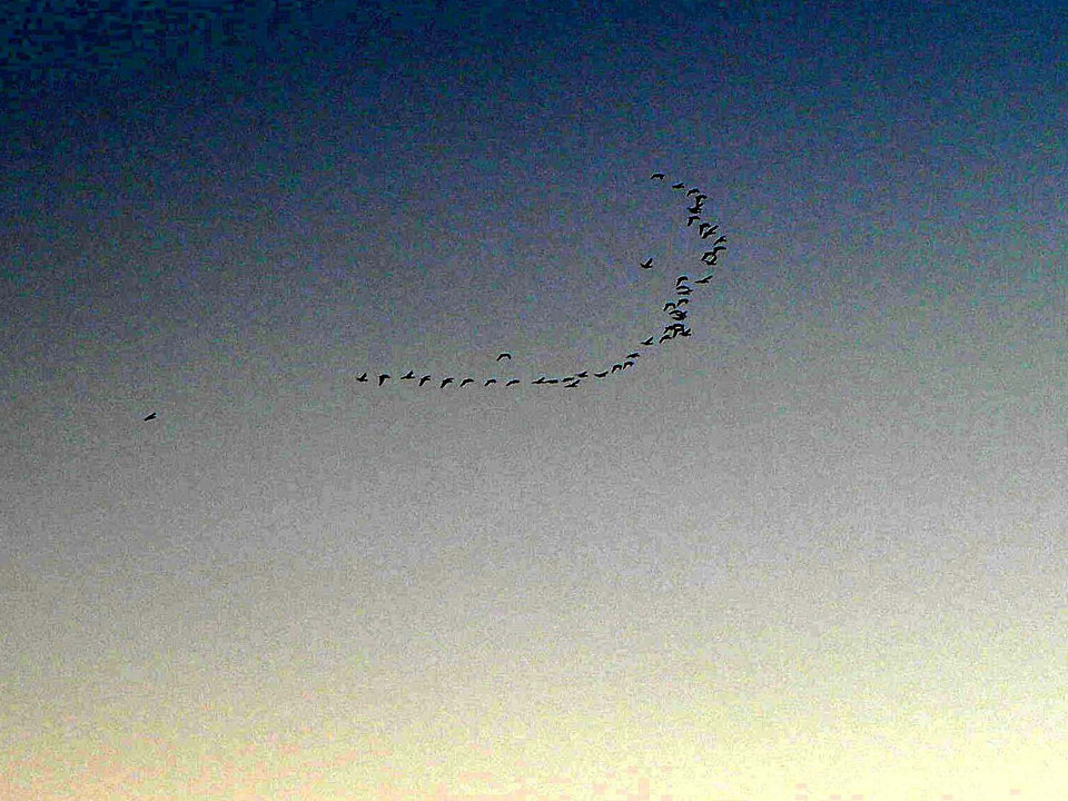 select left of pic for previous, right for next, top for index