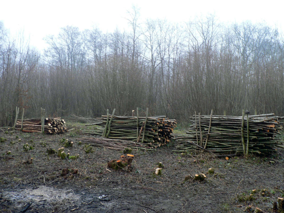 select left of pic for previous, right for next, top for index