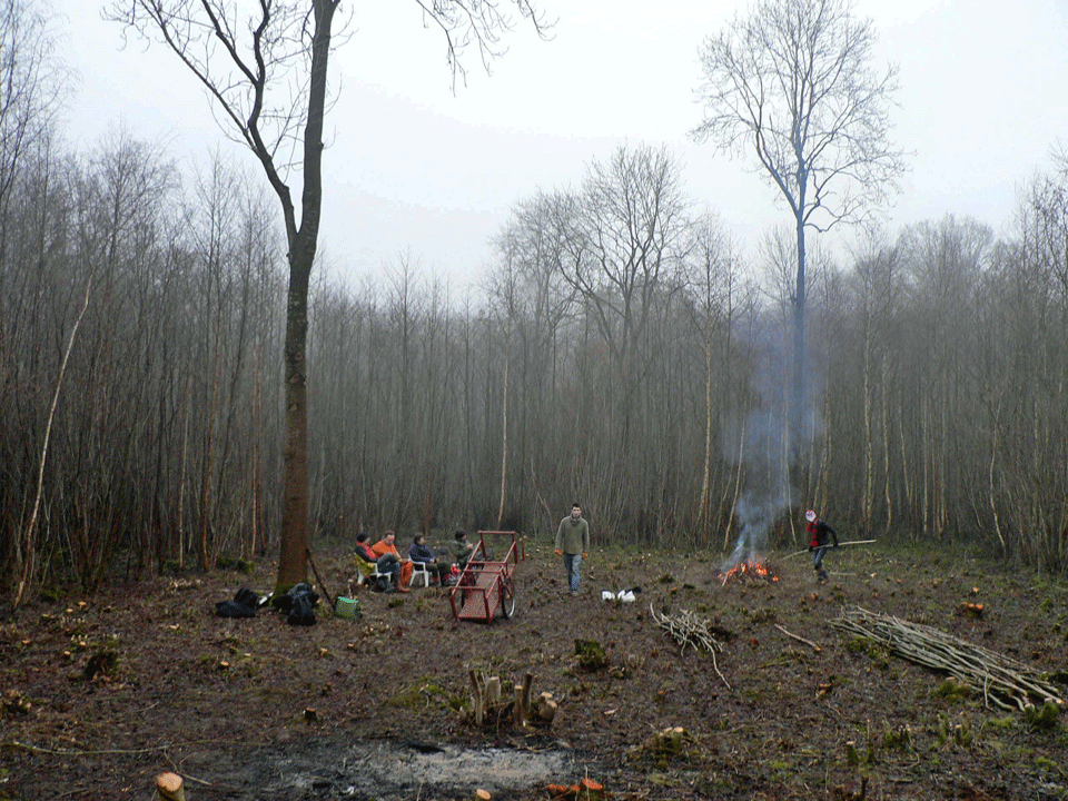 select left of pic for previous, right for next, top for index