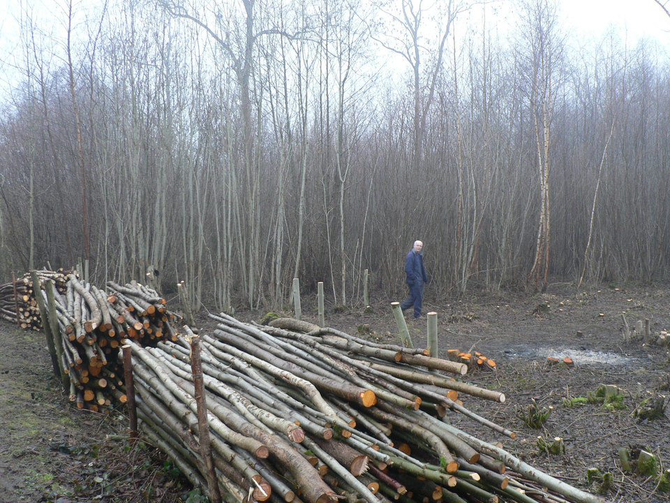 select left of pic for previous, right for next, top for index