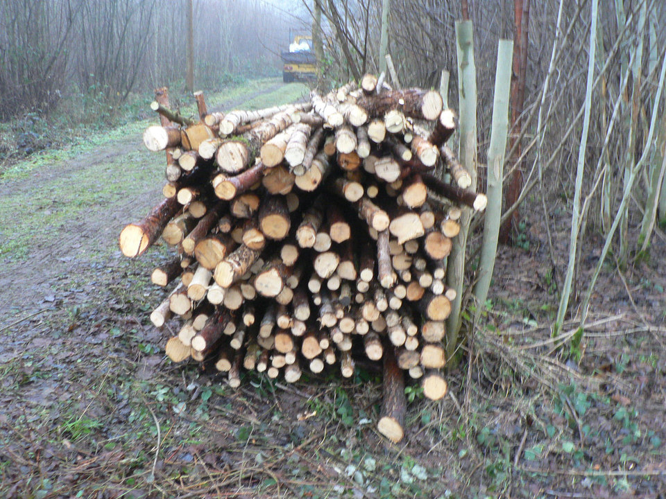 select left of pic for previous, right for next, top for index