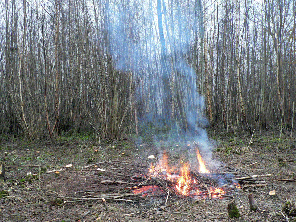 select left of pic for previous, right for next, top for index