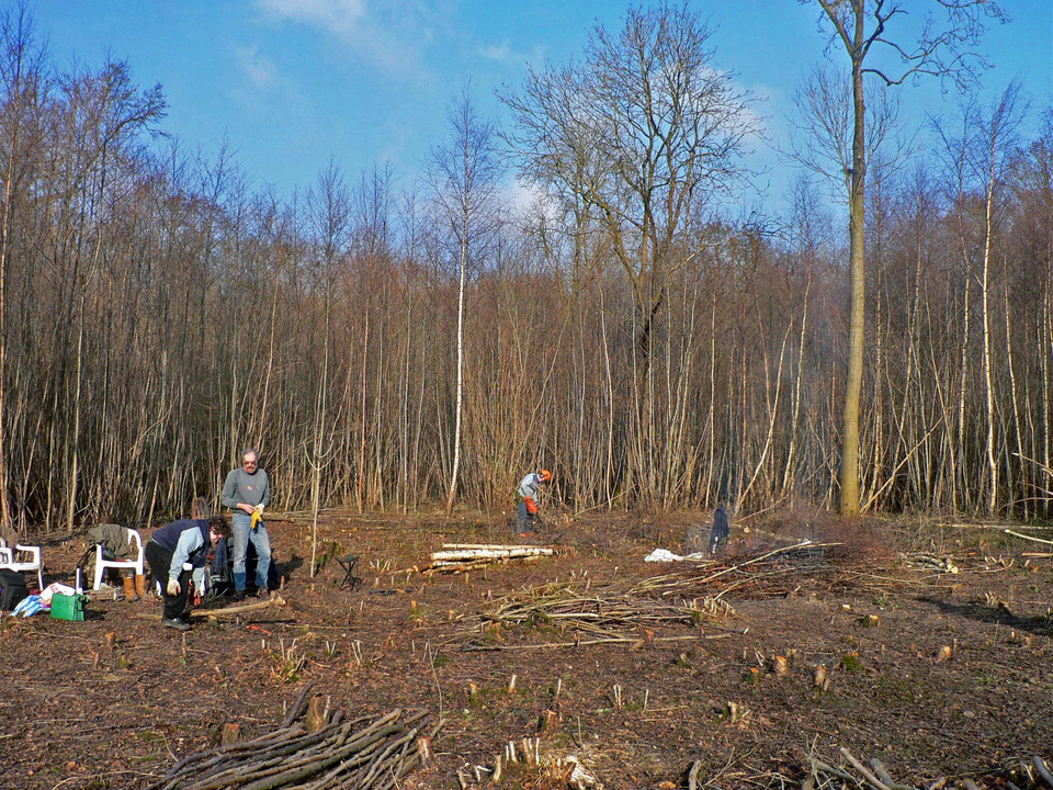 select left of pic for previous, right for next, top for index