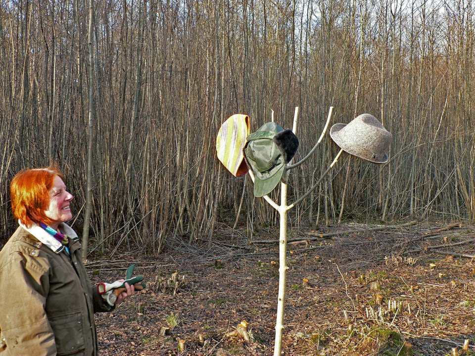 select left of pic for previous, right for next, top for index