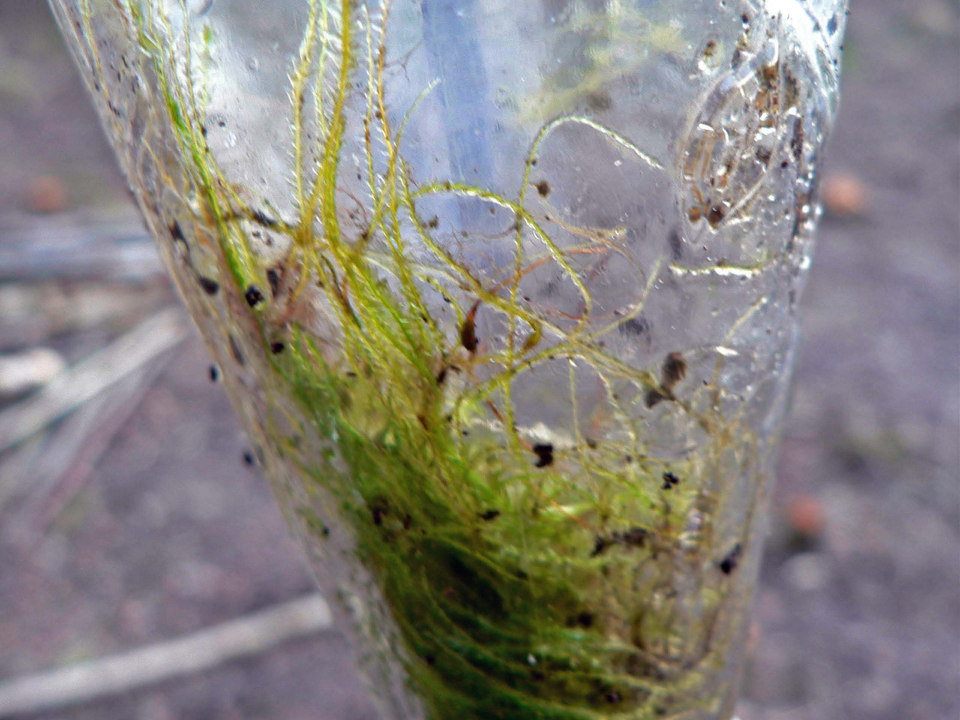 select left of pic for previous, right for next, top for index