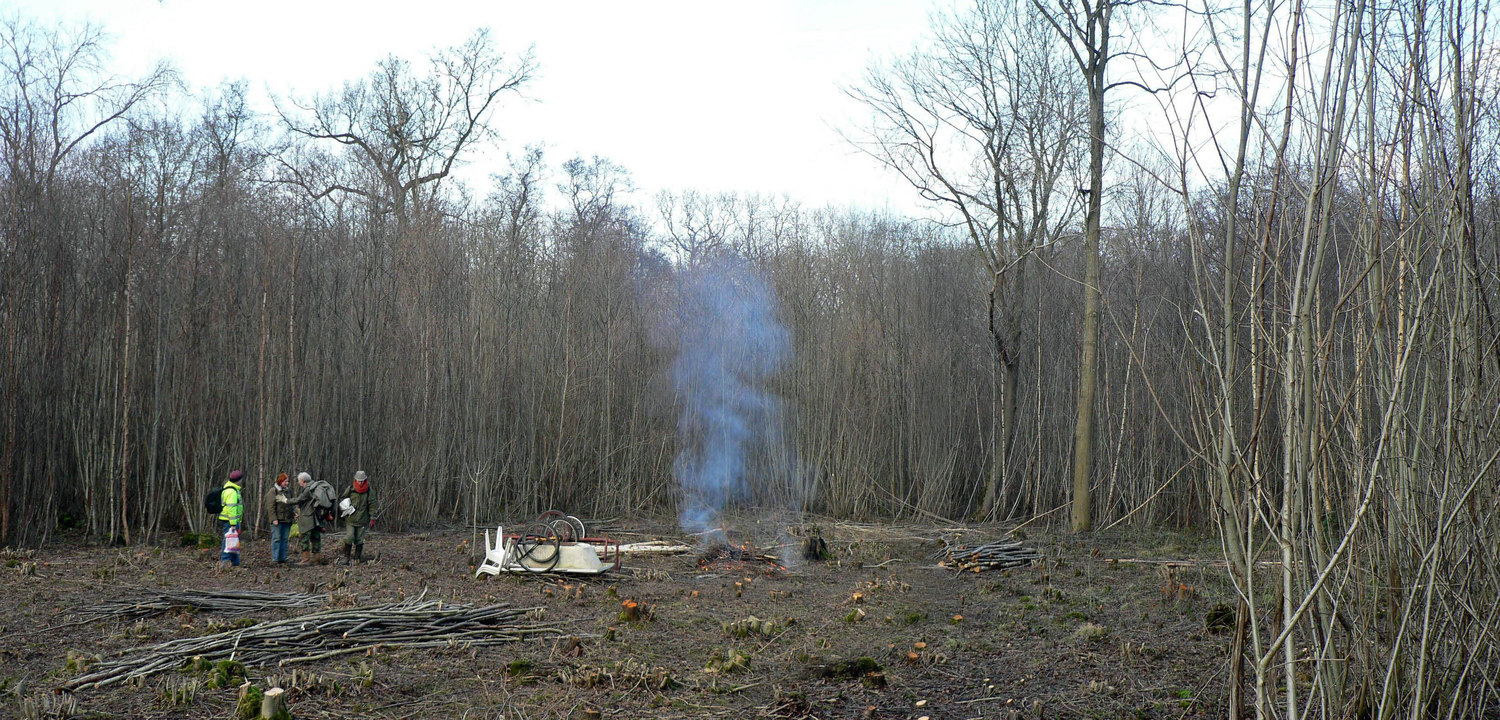 select left of pic for previous, right for next, top for index