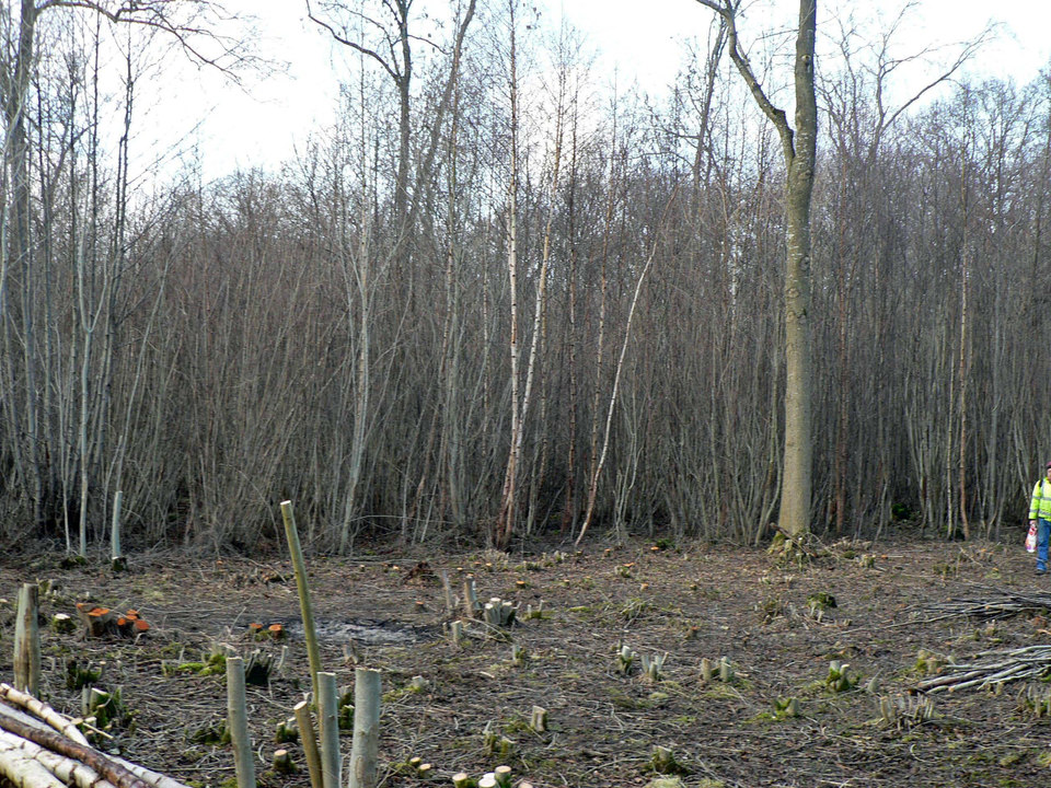 select left of pic for previous, right for next, top for index